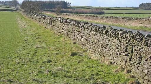 Droverhouse Lane Seen from the Satley end. Typical of the network of straight roads in this corner of County Durham.