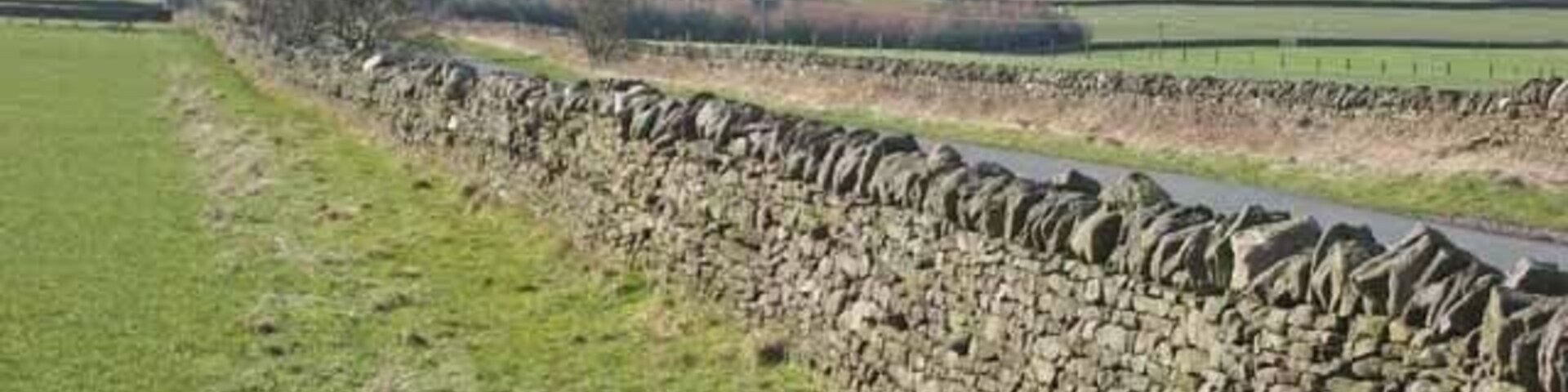 A stone wall running alongside a grassy field with a clear sky.