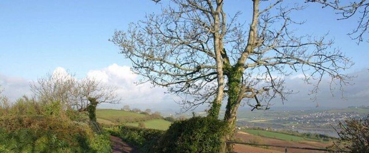 Green lane junction Butterfly Lane, running along the ridge dominating the south side of the Teign estuary, meets Millen Lane, which drops to the left to Stokeinteignhead. The estuary is seen through the gate on the right.