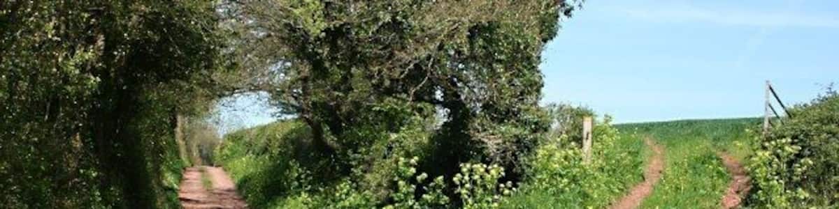 The Southern End of Teignharvey Road Teignharvey Road is a green lane running north to the Teign Estuary.