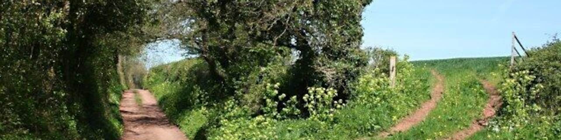 The Southern End of Teignharvey Road Teignharvey Road is a green lane running north to the Teign Estuary.