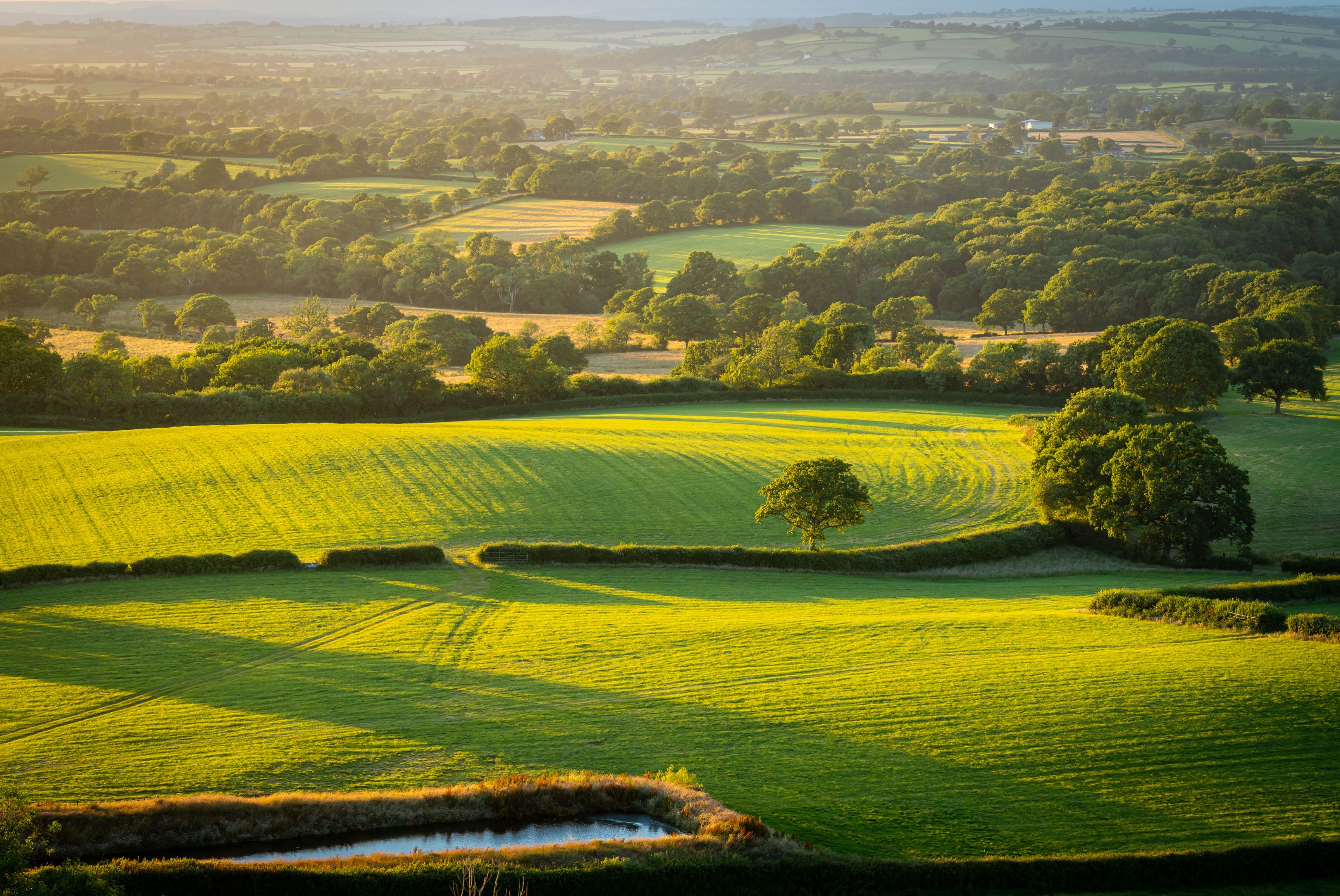 Shipton Gorge