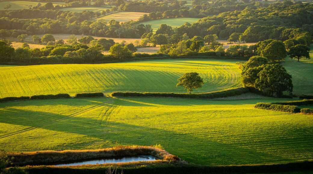 Shipton Gorge