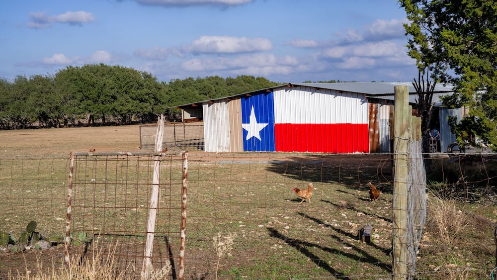 Texas lone star flag painted on farm shed with fenced chickens