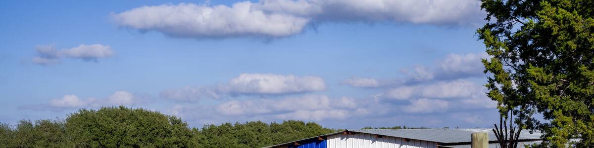 Texas lone star flag painted on farm shed with fenced chickens