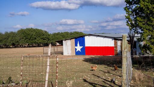 Texas lone star flag painted on farm shed with fenced chickens