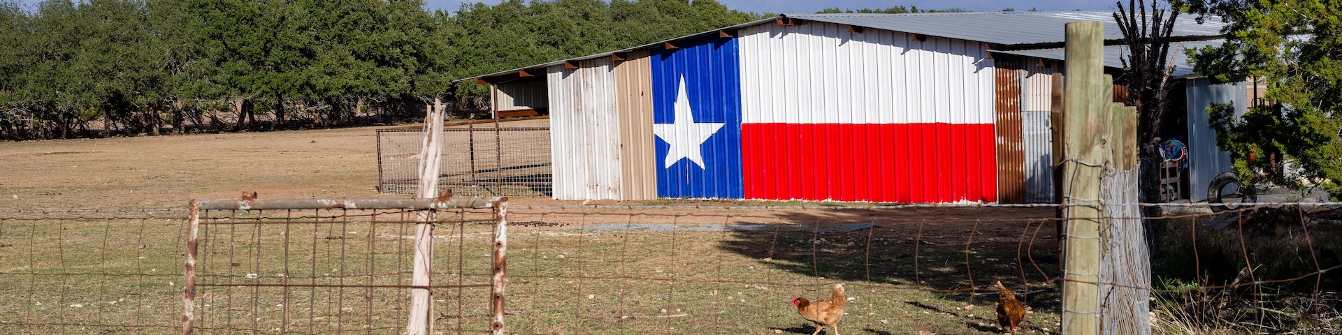 A rural landscape with a barn painted with the Texas flag, a fenced area, and a tree line in the background.