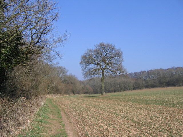 A rural landscape with a dirt path, leafless trees, and a field.