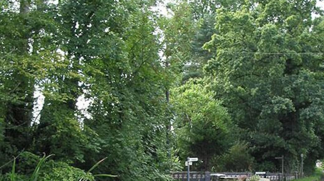 Stream and bridge, Tibberton