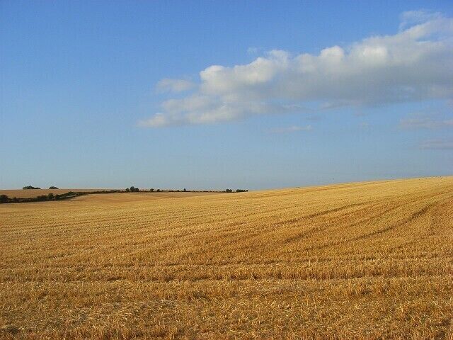 Harvested farmland, Haxton The road to Everleigh is seen climbing the hillside to the left.