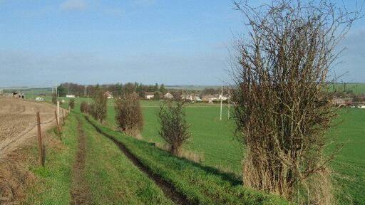 Byway near Netheravon The background of the image shows some of the housing to the northern end of Netheravon in SU1449