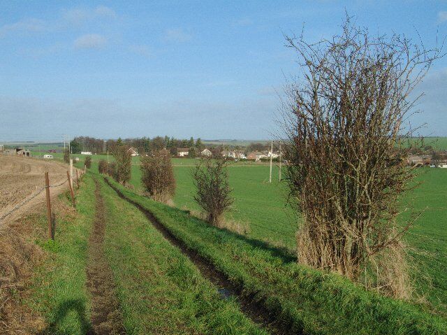 A rural landscape with a dirt path, green fields, and scattered trees.