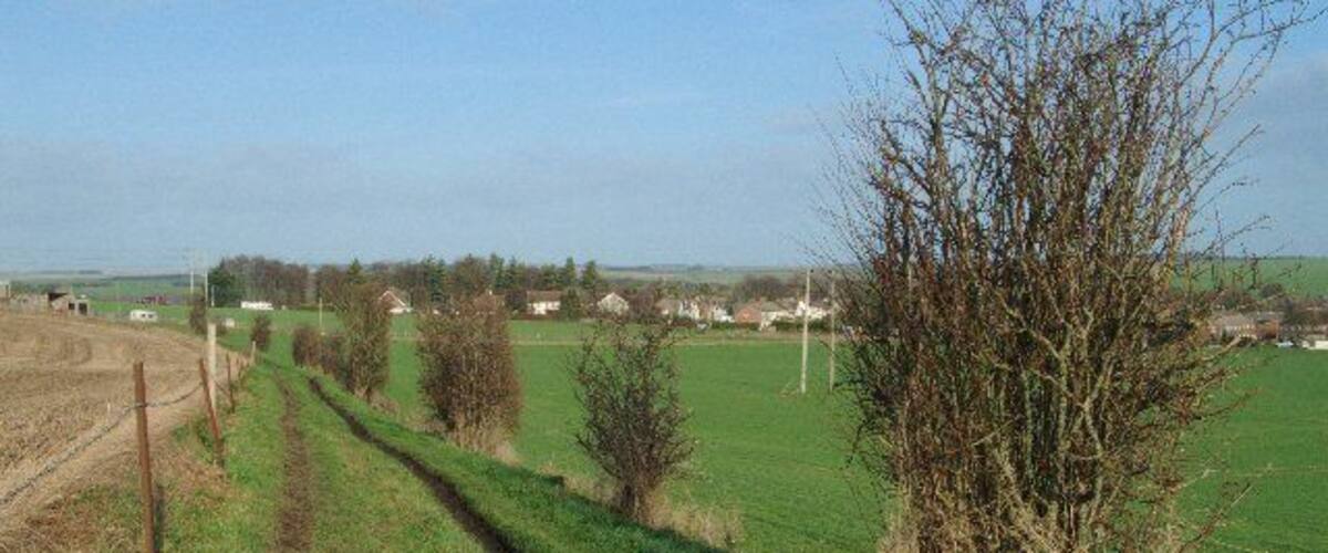 A rural landscape with a dirt path, green fields, and scattered trees.