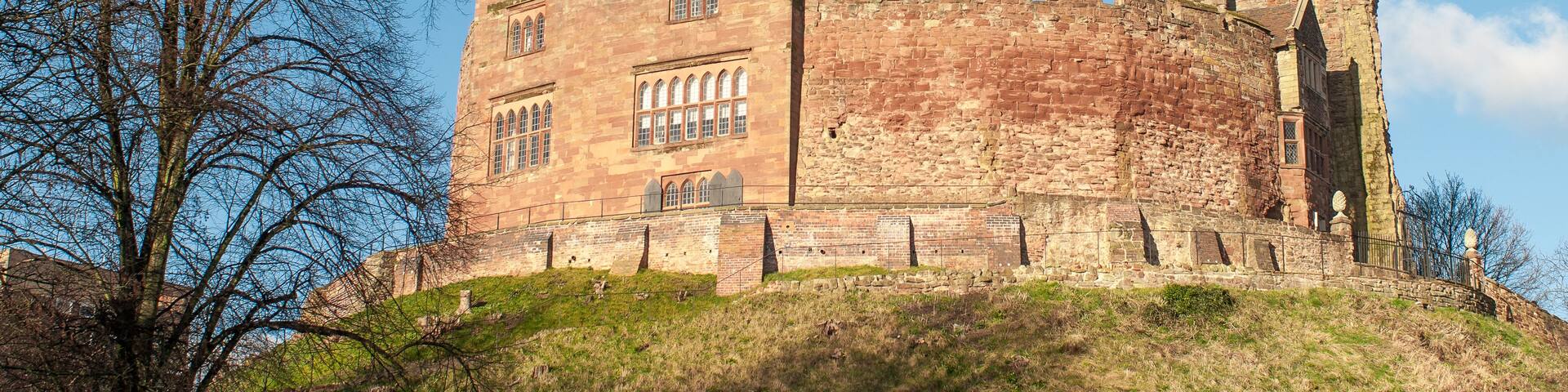A historic stone castle with a flag on top, surrounded by a grassy hill and leafless trees.
