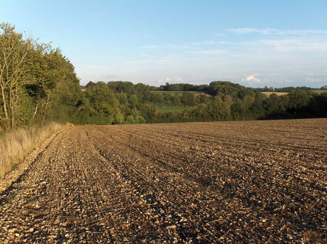Farmland, Balak Farm Looking across the valley to the wooded hillside at Membury House.