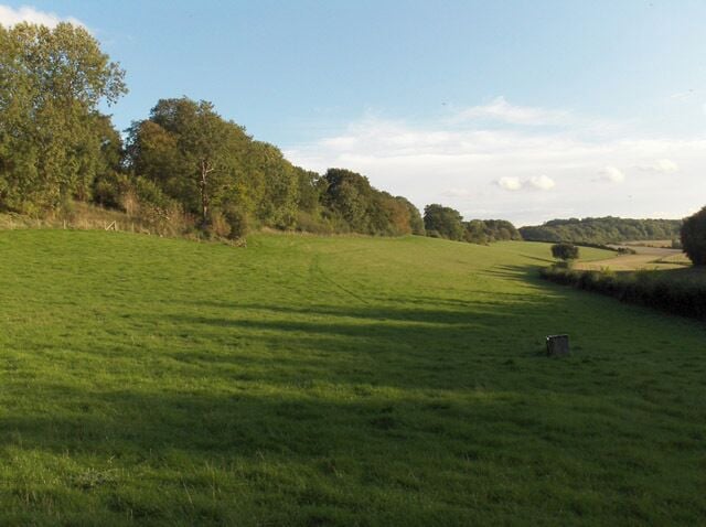 In the valley below Membury The bridleway from Witcha runs alongside the trees to the far right.