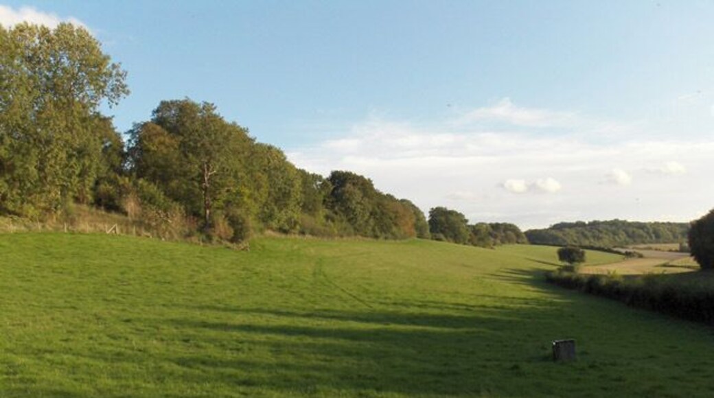 In the valley below Membury The bridleway from Witcha runs alongside the trees to the far right.