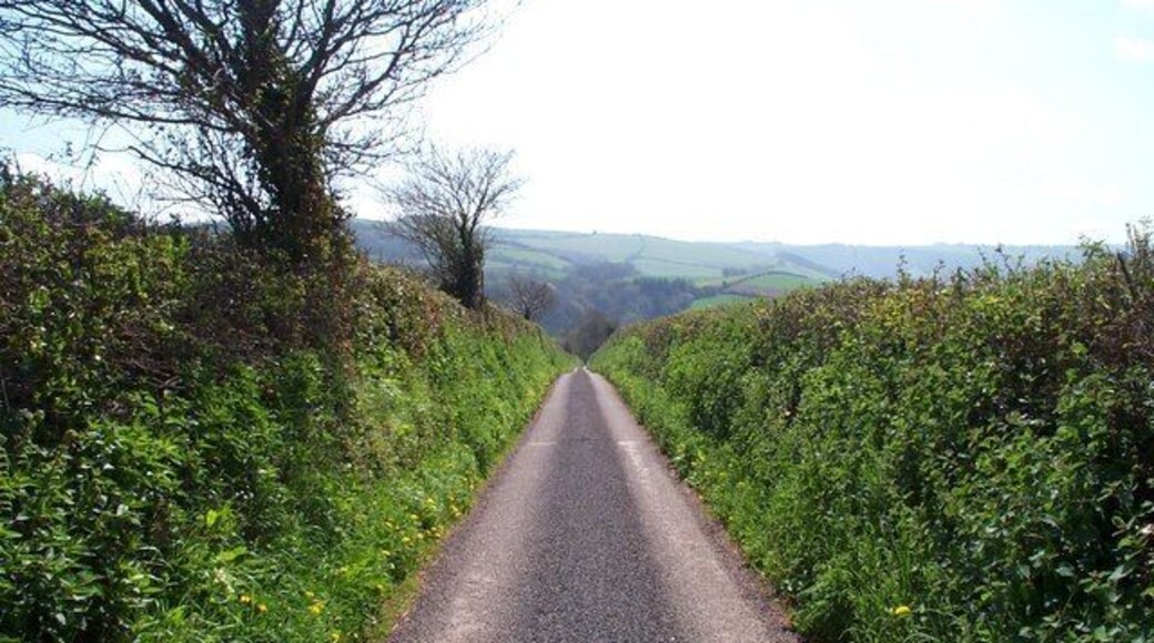 Mount Lane. The lane runs from Golsoncott and falls steeply towards Roadwater.
