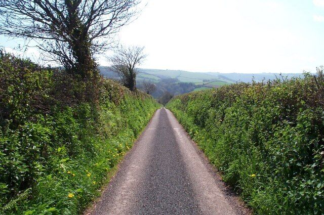 A narrow rural road flanked by dense vegetation and a tree-lined path.