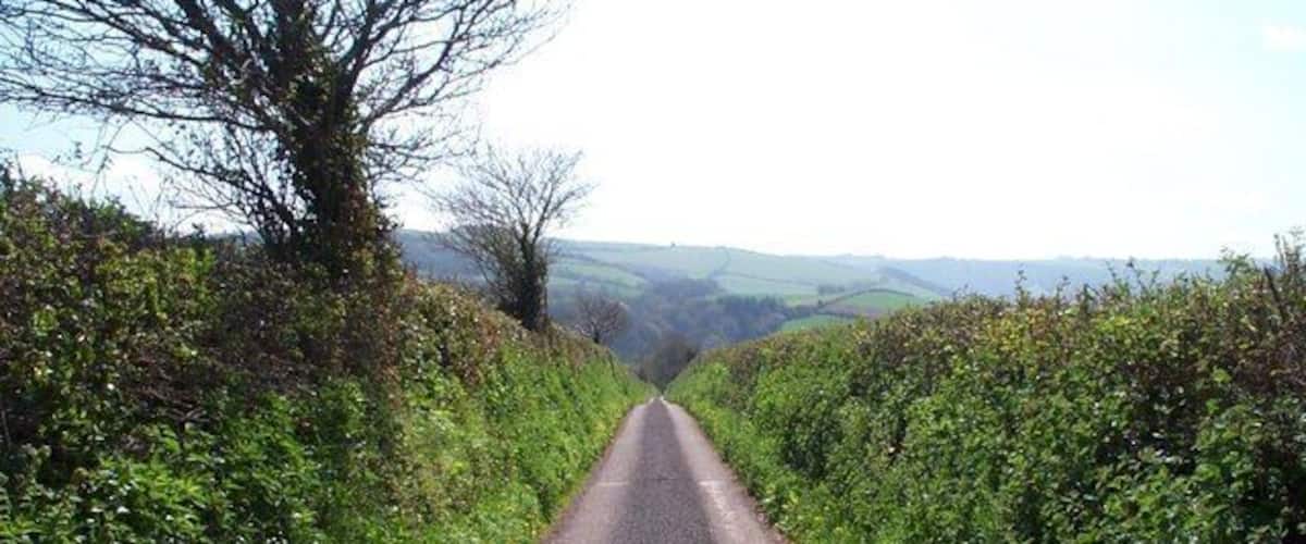A narrow rural road flanked by dense vegetation and a tree-lined path.