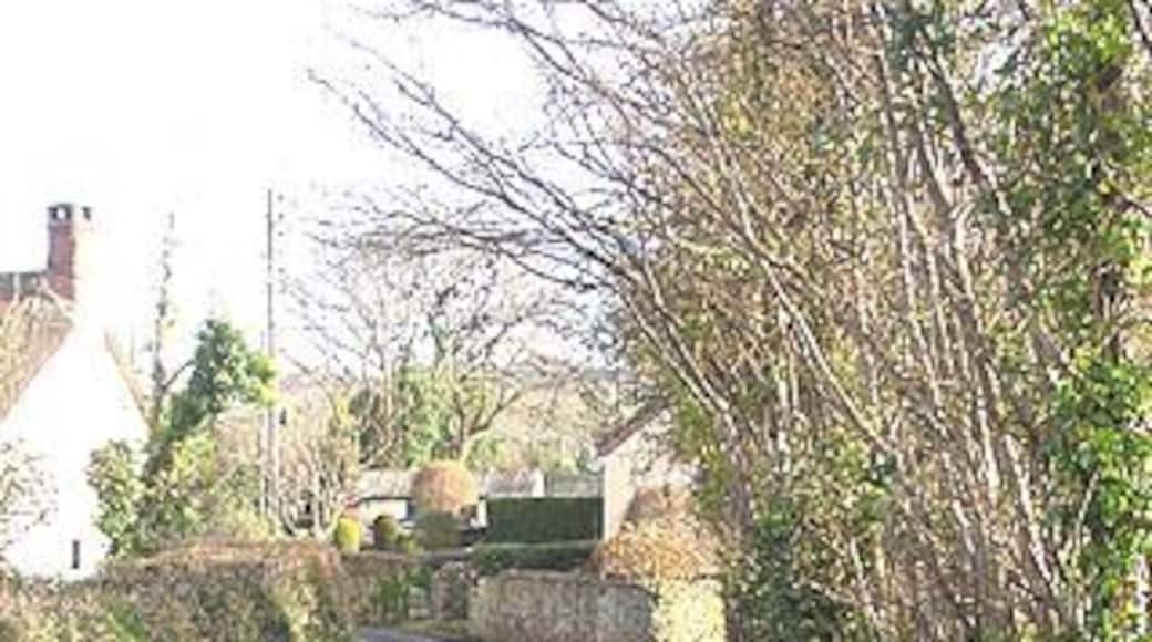 Bilbrook lane ford, east end. See my comments in the picture of the west end. There is a blind bend in between!