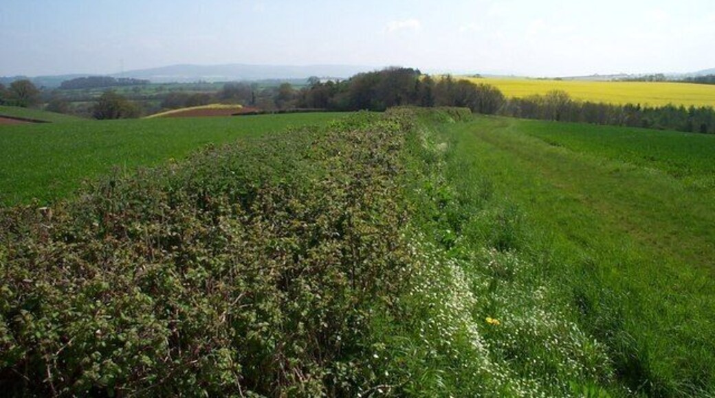 Footpath to Escott Farm and Golsoncott. The photograph is taken looking back down the footpath to Escott Farm from Withycombe at the point that it is crossed by the Macmillan Way West.