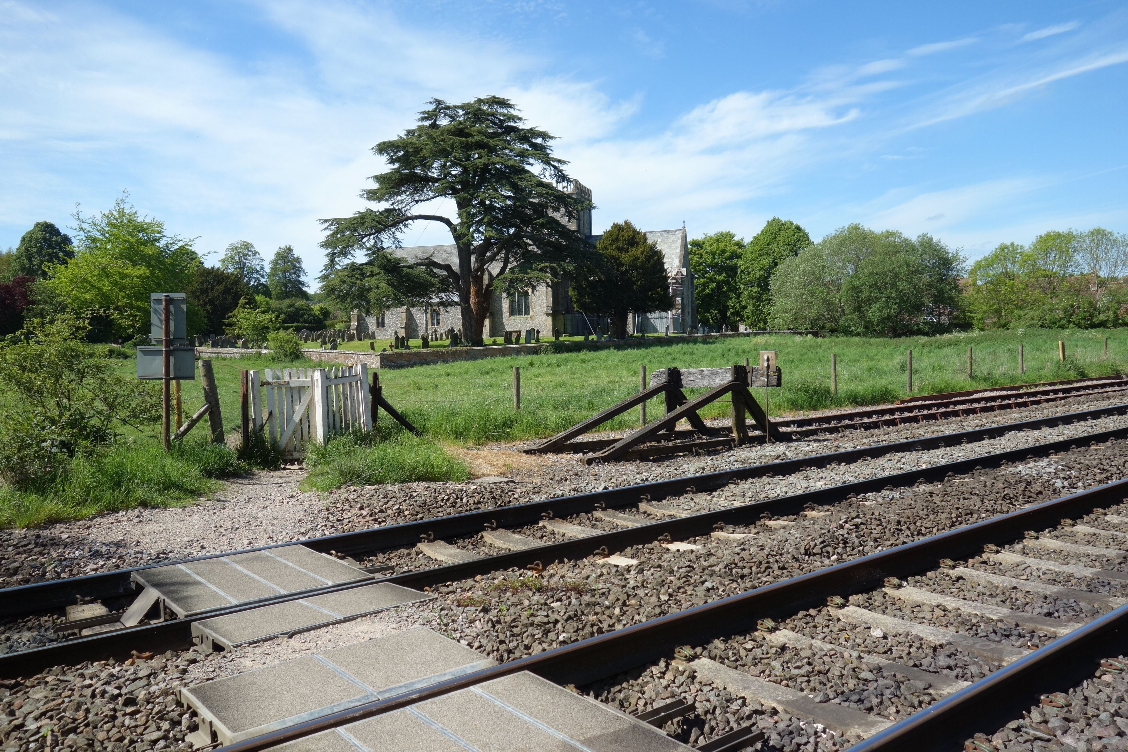 Railway tracks, a large tree, and a building in the background.