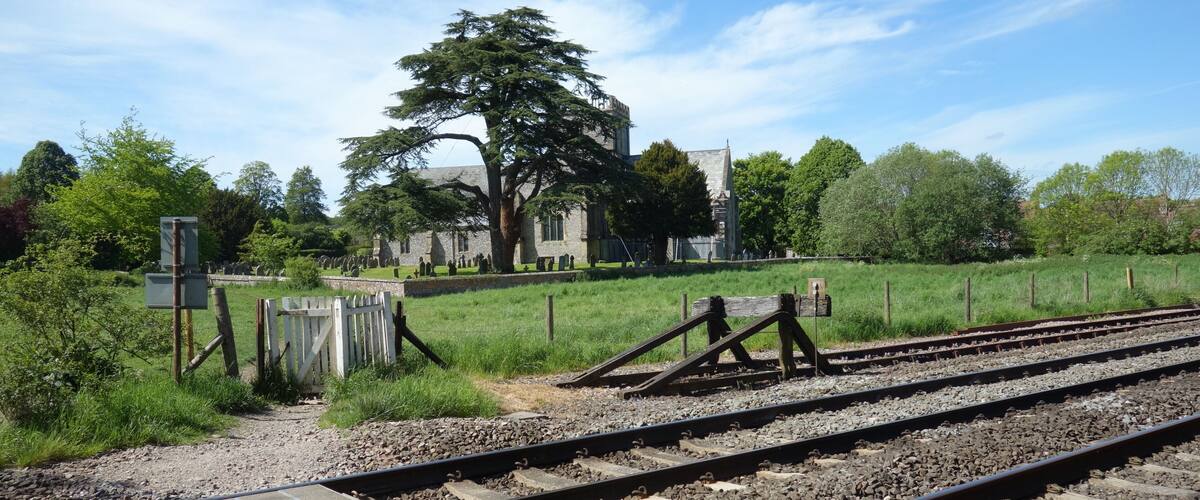 Railway tracks, a large tree, and a building in the background.