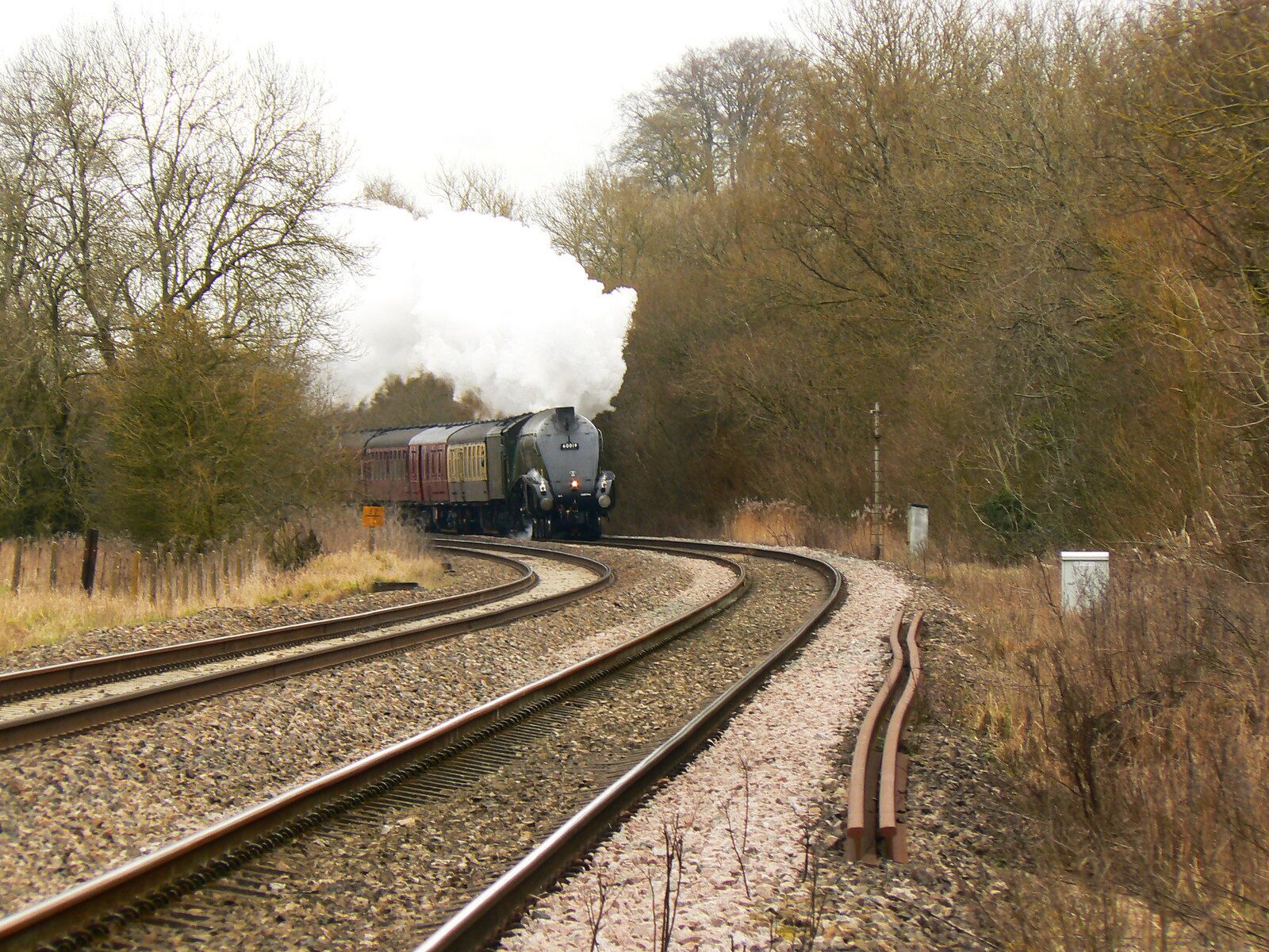 Paddington to the West Country railway, near Great Bedwyn Coming into view is a steam special train service from Paddington to Bristol Temple Meads. It is being hauled by a LNER Gresley Class A4 locomotive named 'Bittern' and numbered 60019. It is one minute ahead of schedule.