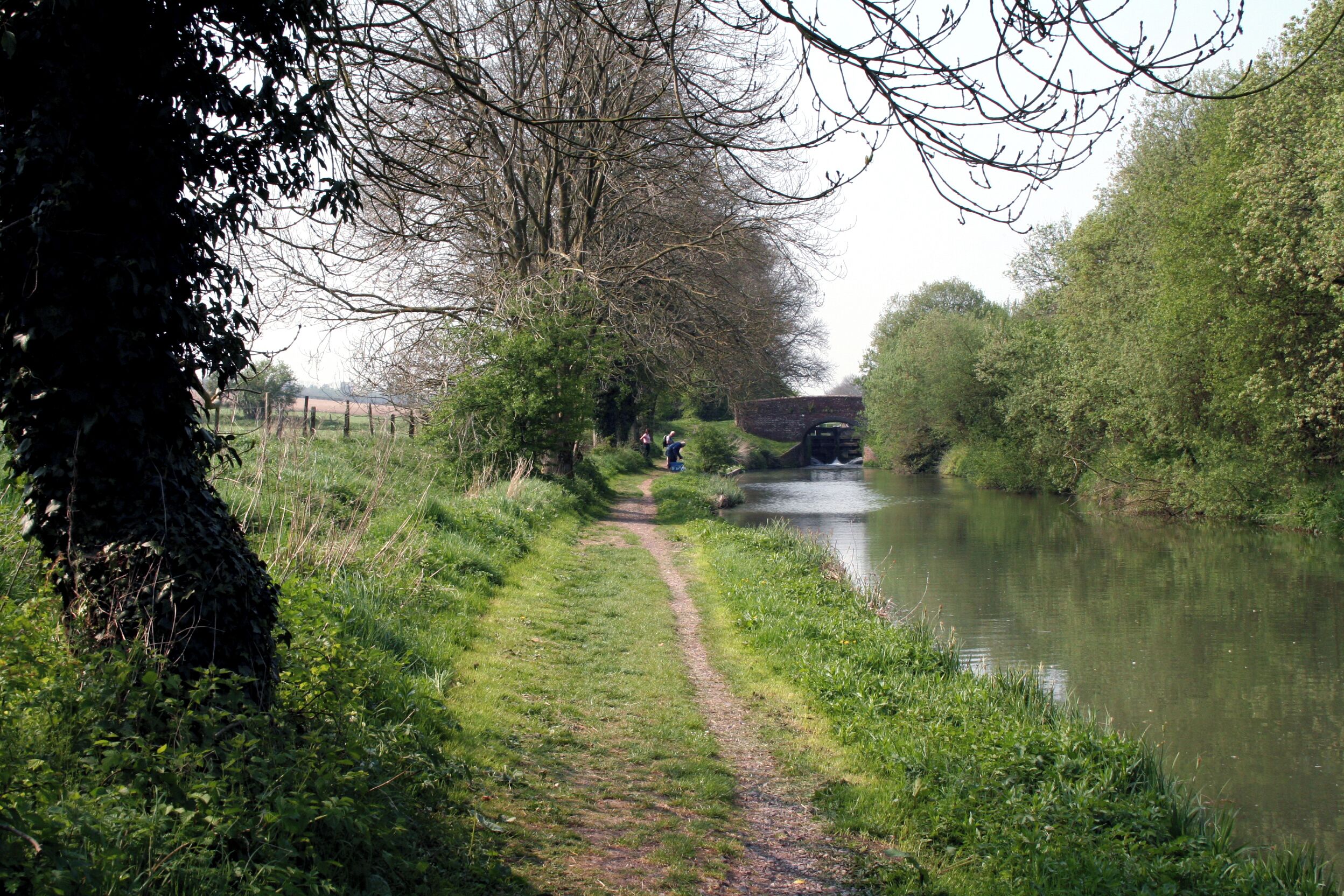 Kennet & Avon Navigation: Beech Tree Walk Bridge 98 The lock behind the bridge is Lock No 63, Crofton Bottom Lock: sometimes it is given the same name as the bridge.