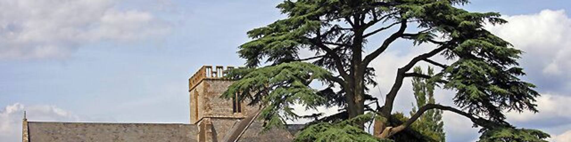 A historic stone building with a large tree in front.