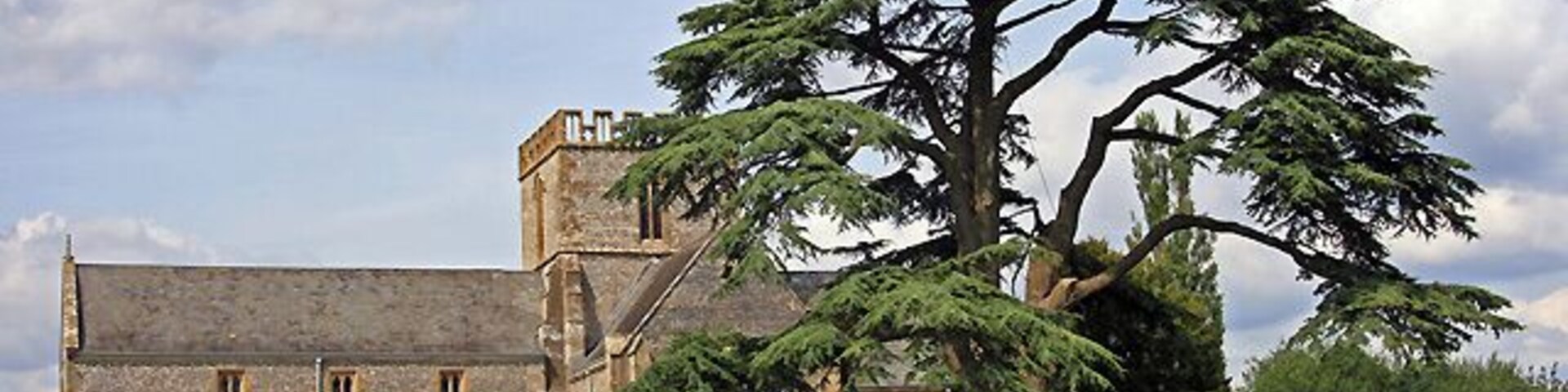 Un edificio de piedra histórico con un gran árbol en primer plano.
