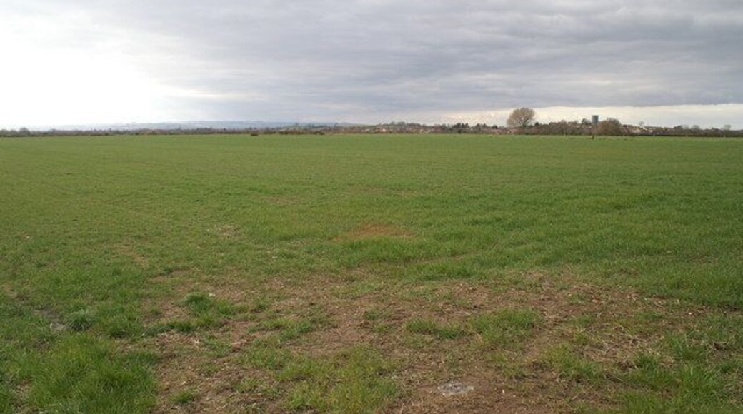 Field looking to Middlezoy.