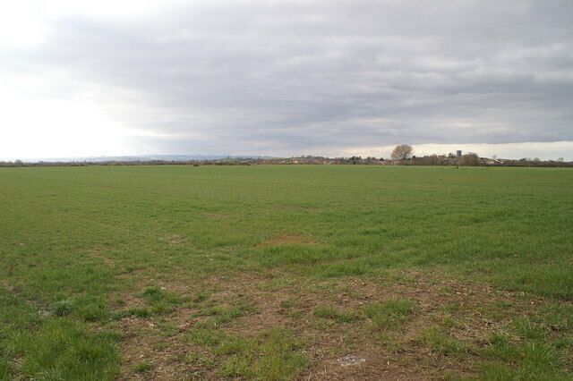 A vast open field with a distant tree line and a cloudy sky.