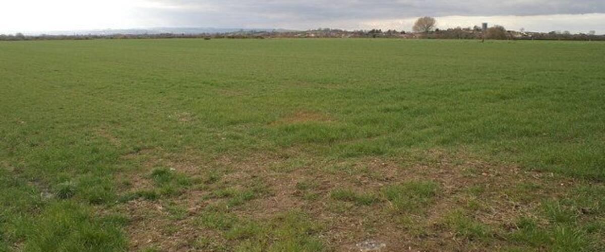 A vast open field with a distant tree line and a cloudy sky.