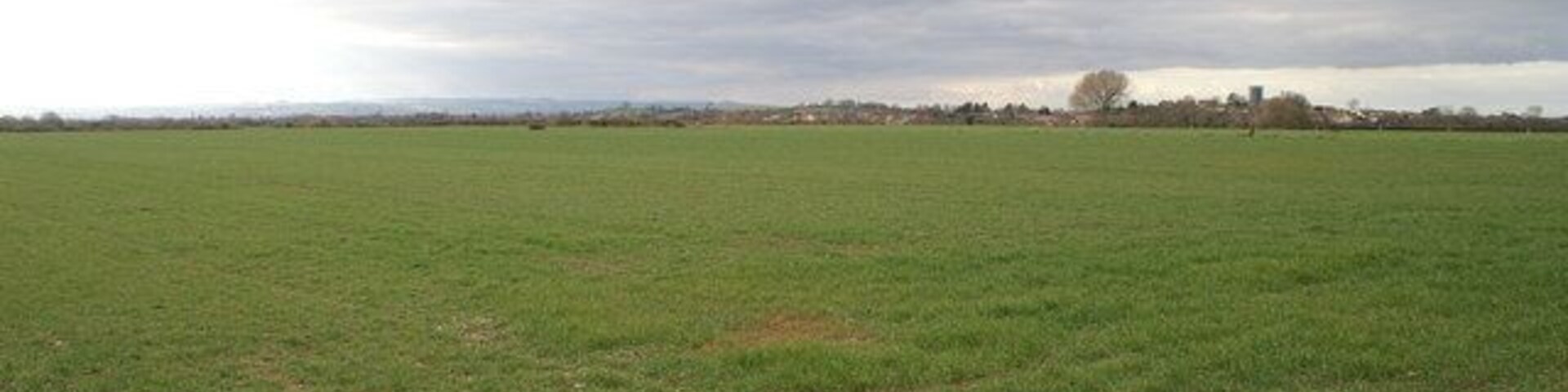 A vast open field with a distant tree line and a cloudy sky.