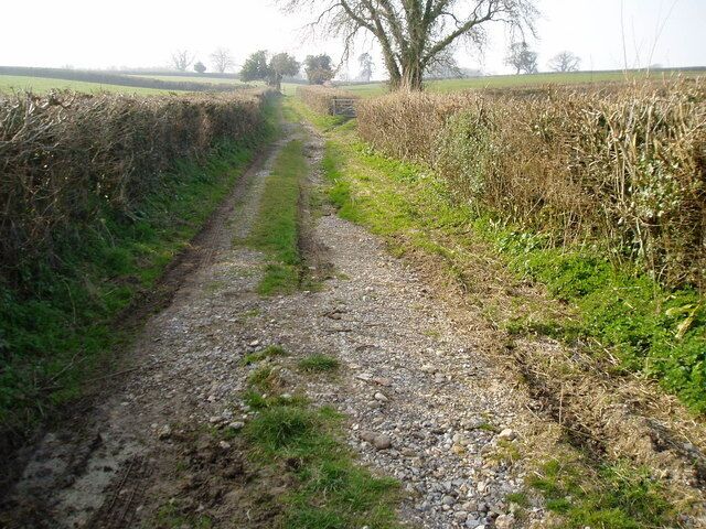 Farm track from Tatworth The public footpath to Copse Stile bears right at first gate.