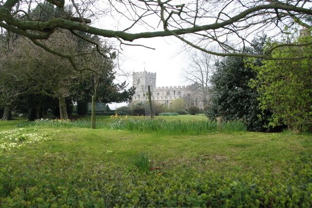Chrishall Church and grounds Daffodils and primroses in the grounds. An excellent brass dated 1375 within the church.