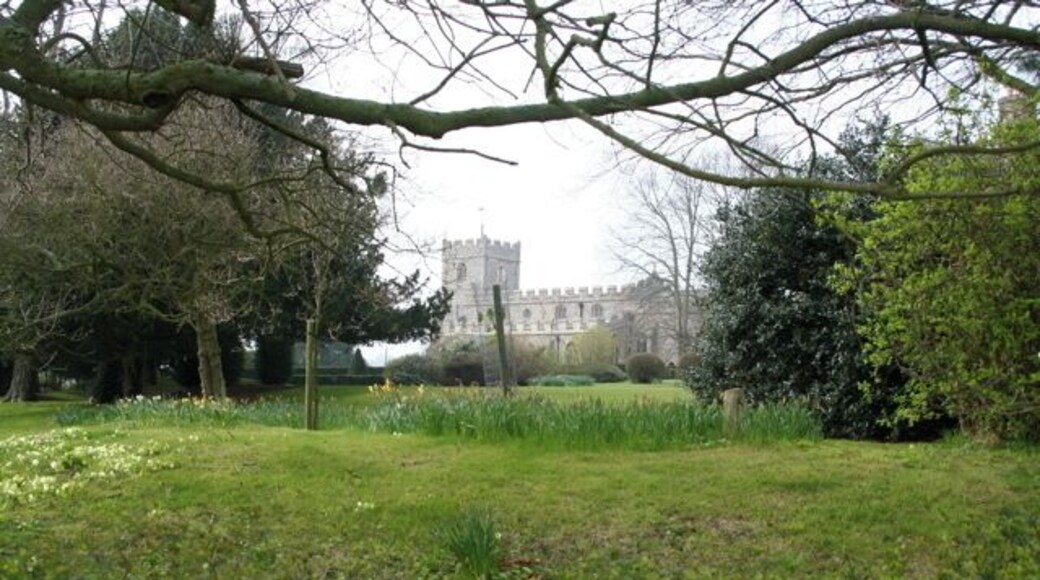 Chrishall Church and grounds Daffodils and primroses in the grounds. An excellent brass dated 1375 within the church.