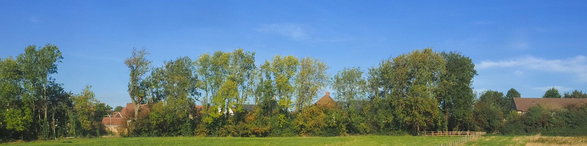 Un campo verde con una valla de madera, árboles y casas al fondo.