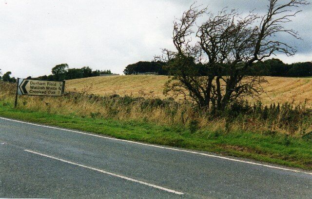 Signpost on A68.