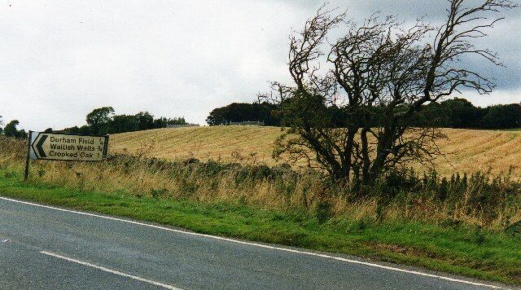 Signpost on A68.