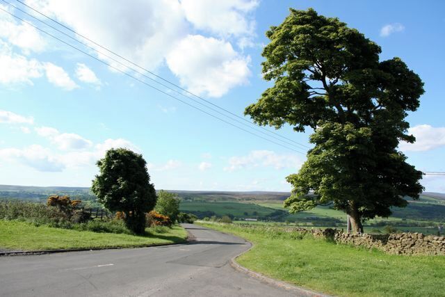 Trees frame the minor road Trees frame the minor road south off the A68 at the Manor House Inn. Pity about the phone lines ....