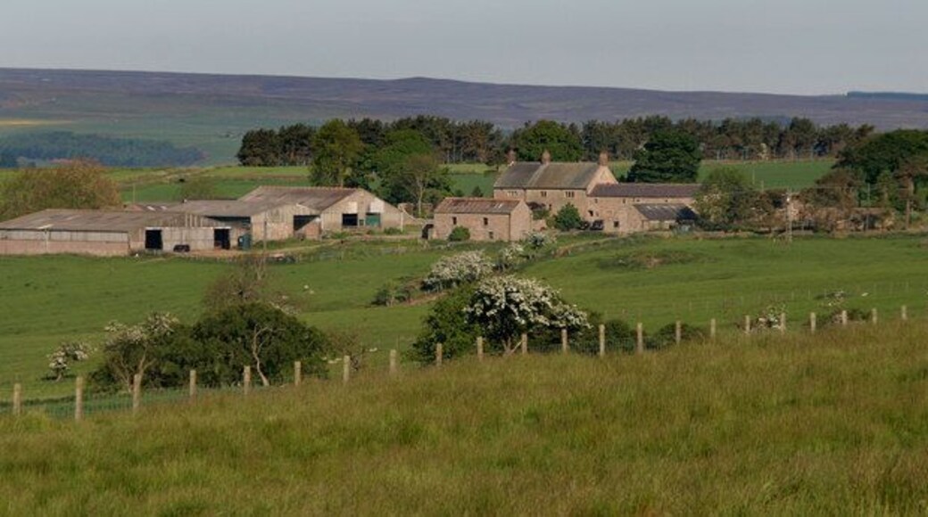 Birkenside Birkenside Farm seen from Carterway Heads.