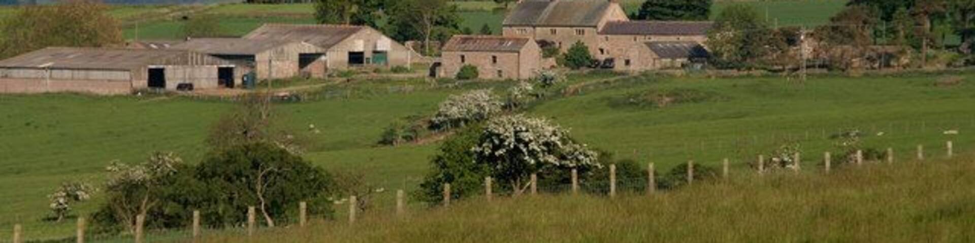 Birkenside Birkenside Farm seen from Carterway Heads.