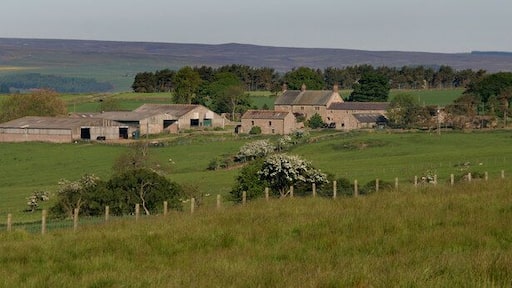 Birkenside Birkenside Farm seen from Carterway Heads.