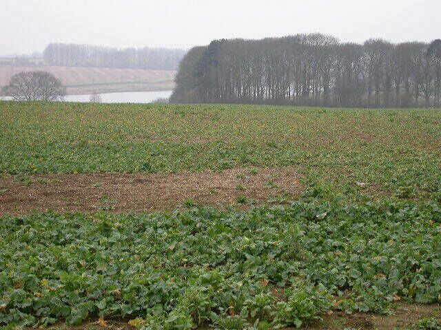 Sywell Reservoir and Trafalgar Covert. Taken from the end of a footpath leading from Earls Barton Road to Washbrook Lane.