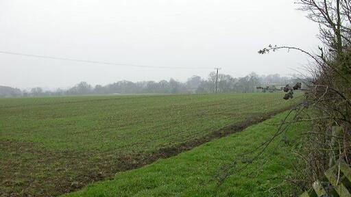View from Wilby Rd. Part of Mears Ashby can be seen through the mist on the far right of the image.