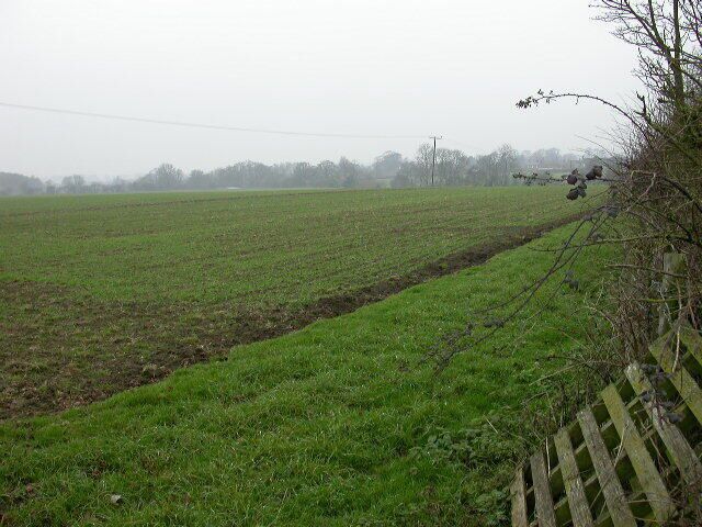A rural landscape with a plowed field, a wooden fence, and a line of trees in the distance.