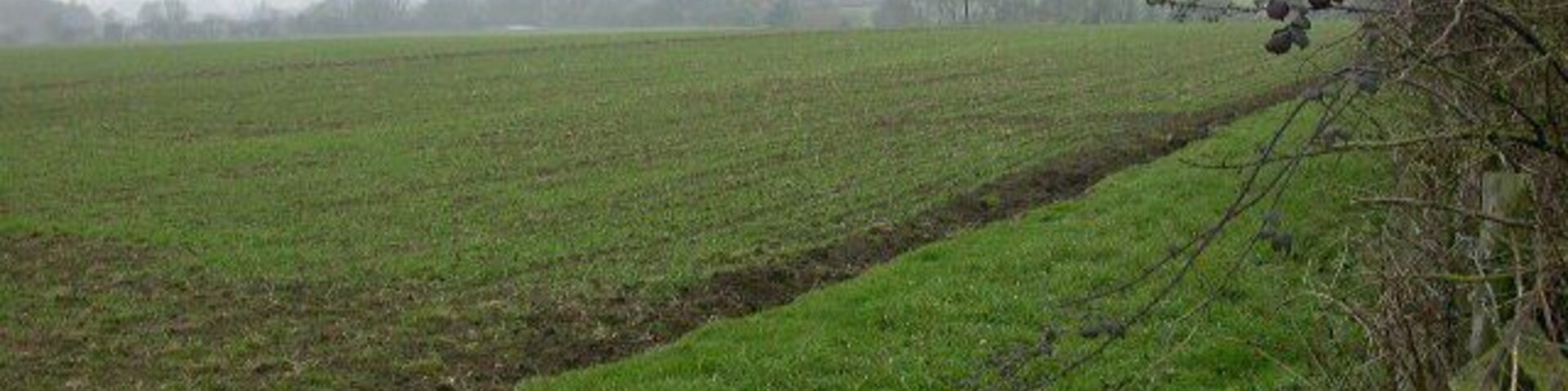 A rural landscape with a plowed field, a wooden fence, and a line of trees in the distance.